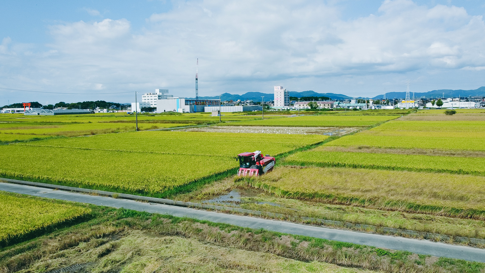 一面の田んぼと農機